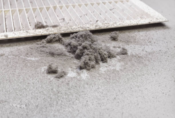 Best Air Duct Cleaning Near Me in Waynesboro, MS