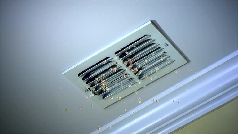 Home Air Vent Cleaning in Waynesboro, MS
