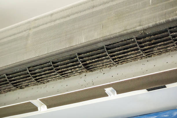 Best General Air Duct Cleaning  in Waynesboro, MS